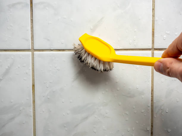 Best Mold Testing  in Bloomington, IL