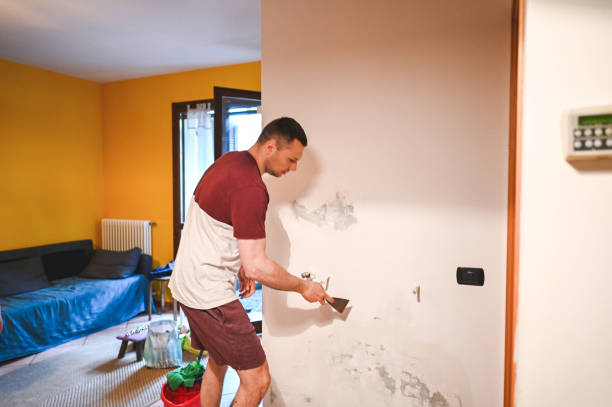 Best Mold Remediation Services  in Bloomington, IL